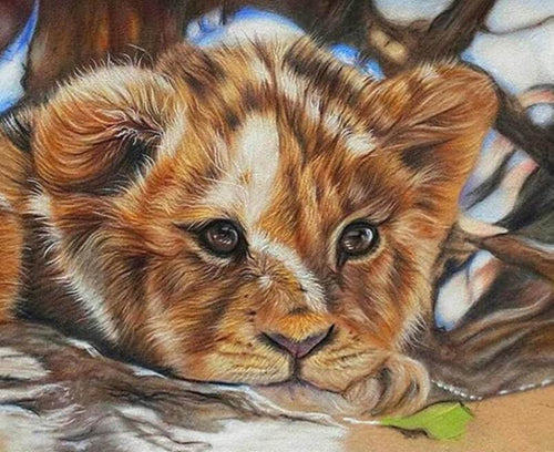 Lion Baby Diamond Painting