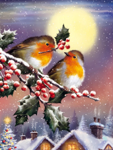 Load image into Gallery viewer, Love Birds Diamond Painting