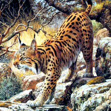 Load image into Gallery viewer, Lynx Animal 5D DIY Diamond Painting