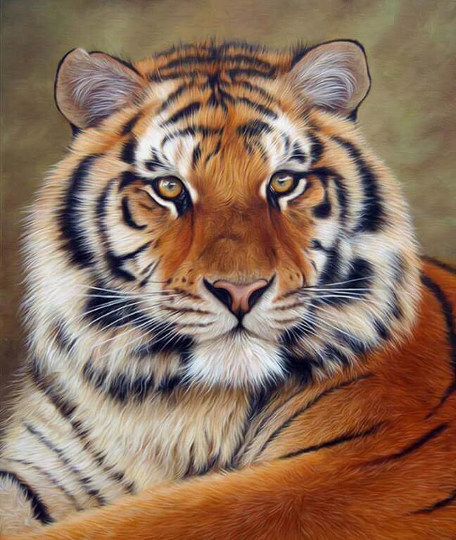 Staggering Tiger Diamond Painting Kit – Paint by Diamonds