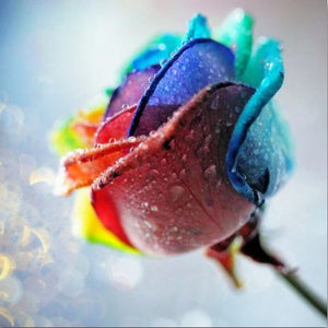 Colorful Mutlicolor Rose Leaflets with Dew on it - Paint by Diamonds Art kits