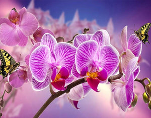 Orchids Diamond Painting