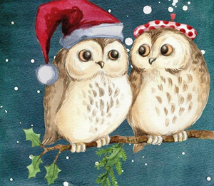 Owls at Christmas - Paint by Diamonds