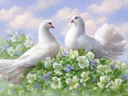 Pigeon and Flowers Diamonds Painting - Diamond Art Kit