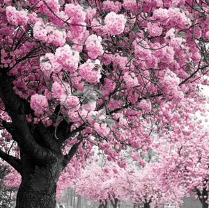 Tree DIY Diamond Painting