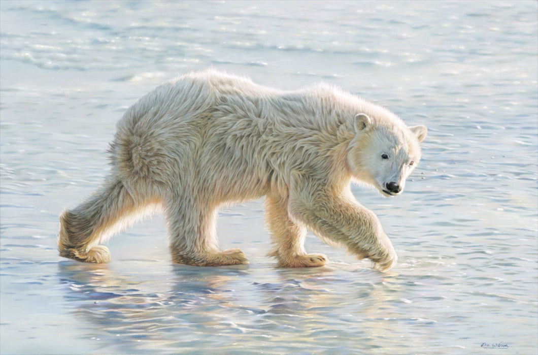 Walking Polar Bear