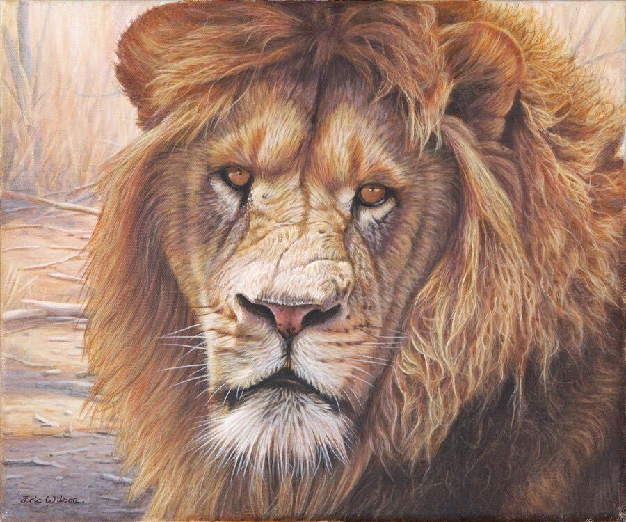 Samoni I Lion Portrait