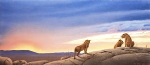 Three lions on a Kopje in the serengeti at sundown