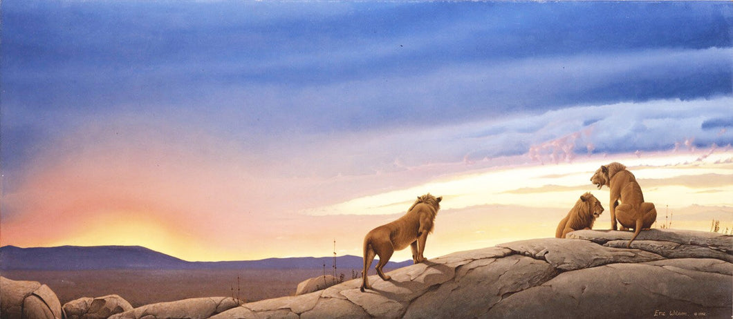 Three lions on a Kopje in the serengeti at sundown