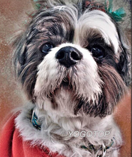 Load image into Gallery viewer, Shih Tzu dog - Diamond Art Painting