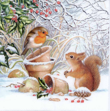 Load image into Gallery viewer, Squirrel and Sparrow Bird - Diamond Art Kit