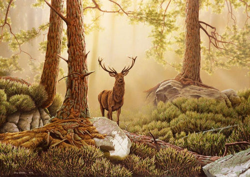 Stag in forest
