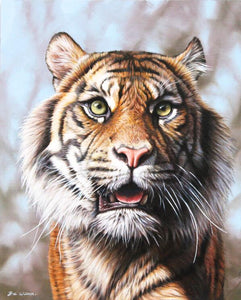 The Sumatran tiger