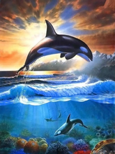 Load image into Gallery viewer, Sunset Whales Paint by Numbers