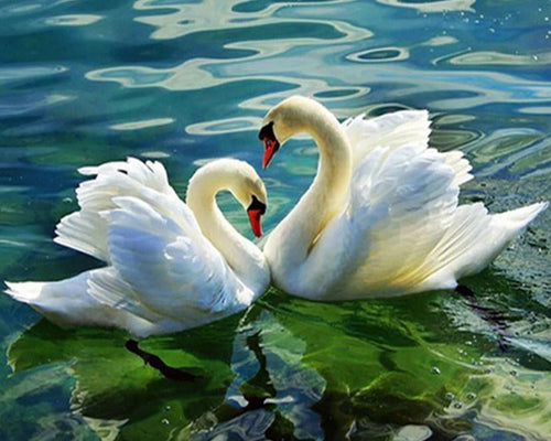 Swan Couple Diamond Painting