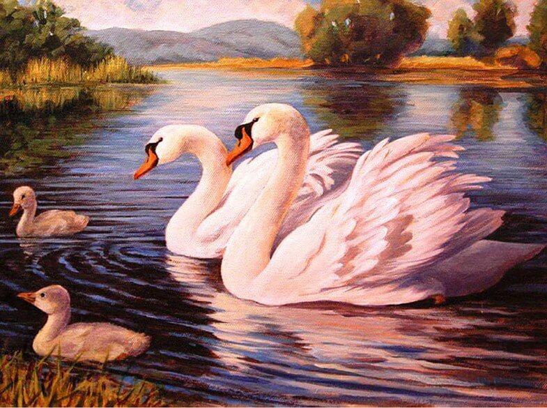Swans DIY Diamond Painting