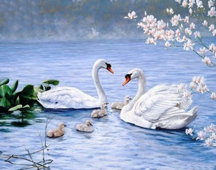 Swan in River - Diamond Painting