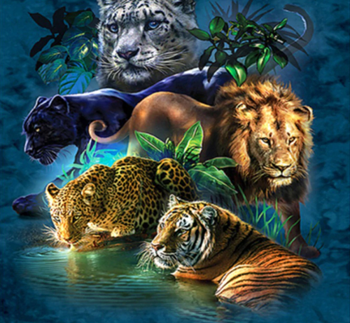 Tiger Lion Leopard - 5D Diamond Art Kit