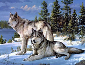 A Pair of White Wolf in Winter Snow Diamond Art Painting kit