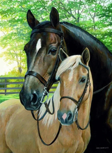 Load image into Gallery viewer, Two Horse Love - Paint by Diamonds