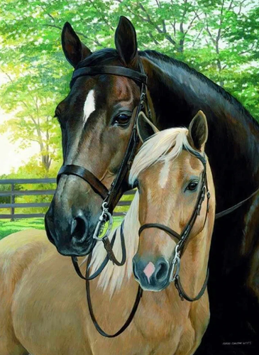 Two Horse Love - Paint by Diamonds