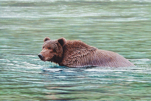 Bear in River