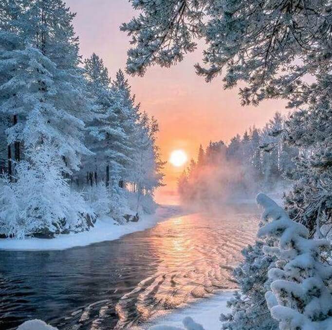 Snowy Trees by the Lake