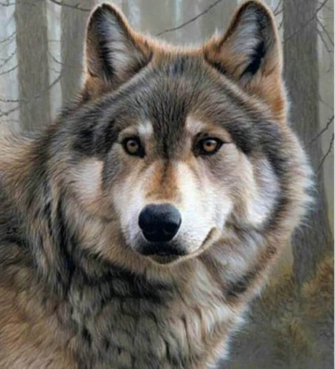 Wolf Round Drill Painting Kit