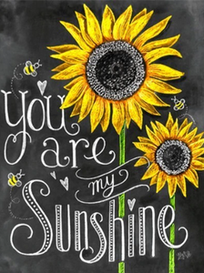 You are my sunshine quote diamond painting