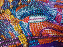 Load image into Gallery viewer, Native American Horse Special Diamond Painting