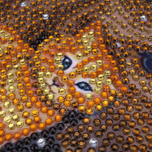 Load image into Gallery viewer, Cat Friend with Horse - Special Diamond Painting