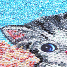 Load image into Gallery viewer, Cat on Beach - Special Diamond Painting