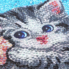 Load image into Gallery viewer, Cat on Beach - Special Diamond Painting