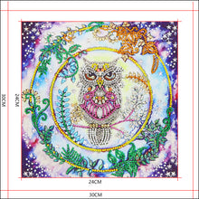 Load image into Gallery viewer, A Wise Owl - Special Diamond Painting