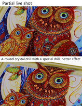 Load image into Gallery viewer, Artistic Owl Family - Special Diamond Painting