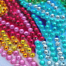 Load image into Gallery viewer, Colorful Australian Parrots - Special Diamond Painting