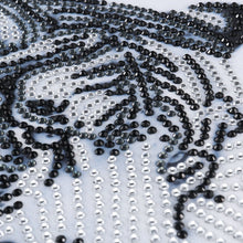 Load image into Gallery viewer, White Tiger Crystal - Special Shaped Diamond