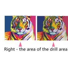 Load image into Gallery viewer, Colorful Tiger - Diamond Paintings