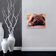 Load image into Gallery viewer, Lazy Dog - Special Diamond Painting