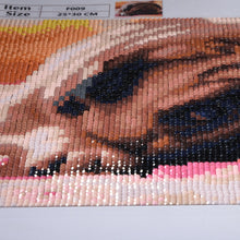 Load image into Gallery viewer, Lazy Dog - Special Diamond Painting