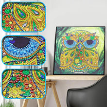 Load image into Gallery viewer, Elder Owl - Special Diamond Painting