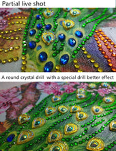 Load image into Gallery viewer, Peacock Pair - Special Shaped Diamond