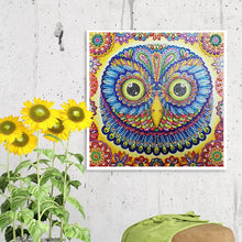 Load image into Gallery viewer, Owl&#39;s Face Portrait - Special Diamond Painting