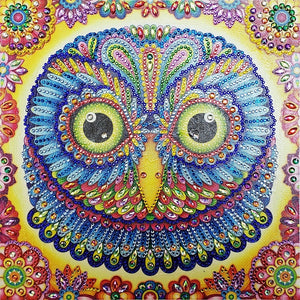 Owl's Face Portrait - Special Diamond Painting