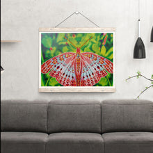 Load image into Gallery viewer, A Red Monarch Butterfly - Special Diamond Painting