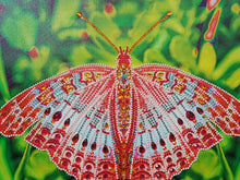 Load image into Gallery viewer, A Red Monarch Butterfly - Special Diamond Painting
