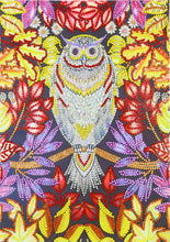 Load image into Gallery viewer, Flower Owl - Special Diamond Painting