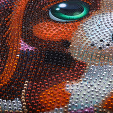 Load image into Gallery viewer, Cute Brown Dog - Special Diamond Painting