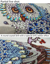 Load image into Gallery viewer, Staring Owl - Special Diamond Painting