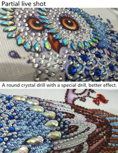 Staring Owl - Special Diamond Painting